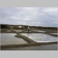 Sallines 8.jpg